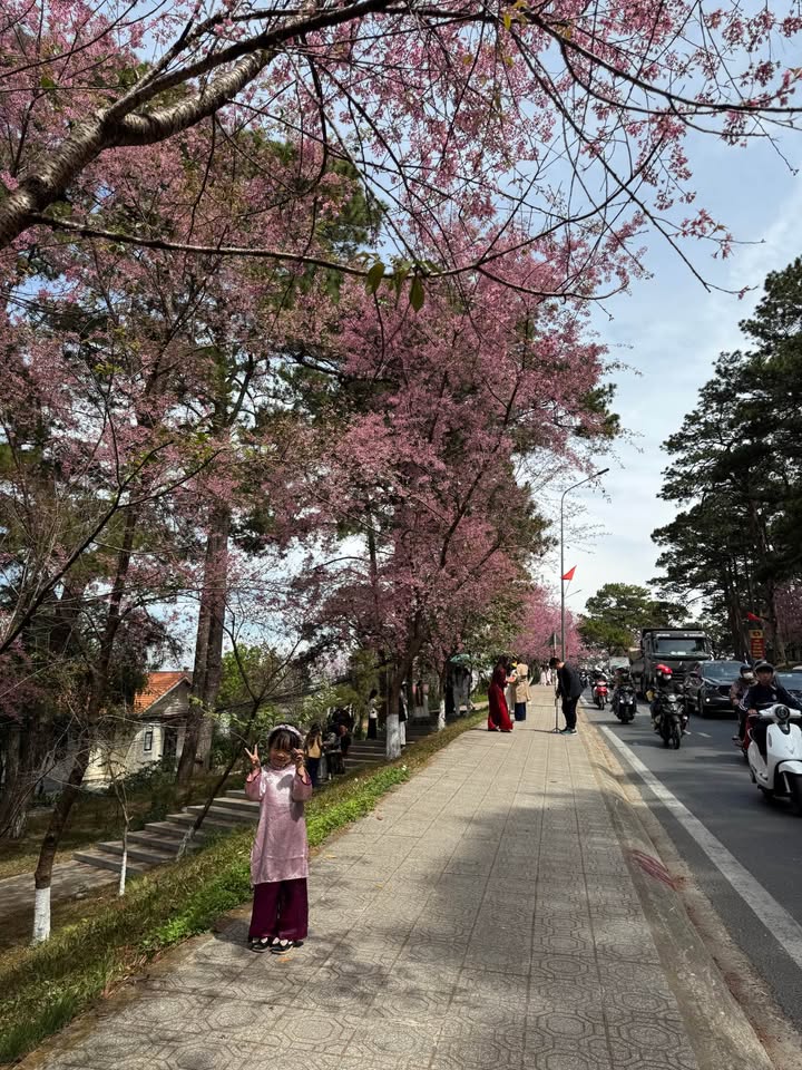 Đất nền Phường 7 Đà Lạt 54m² giá 600 triệu - Đường ô tô tận nơi!