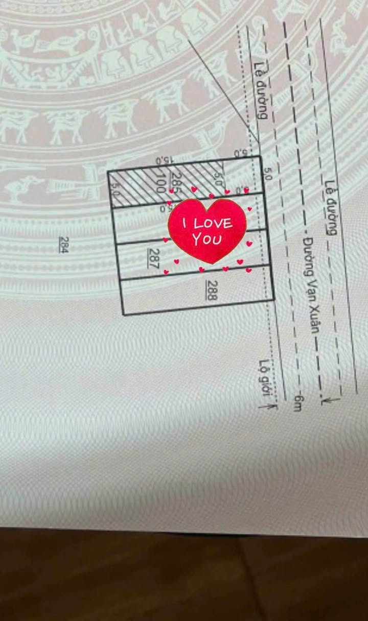 Đất nền đường Vạn Xuân Đà Lạt 75m² giá 3.75 tỷ - Vị trí đẹp, thuận lợi!