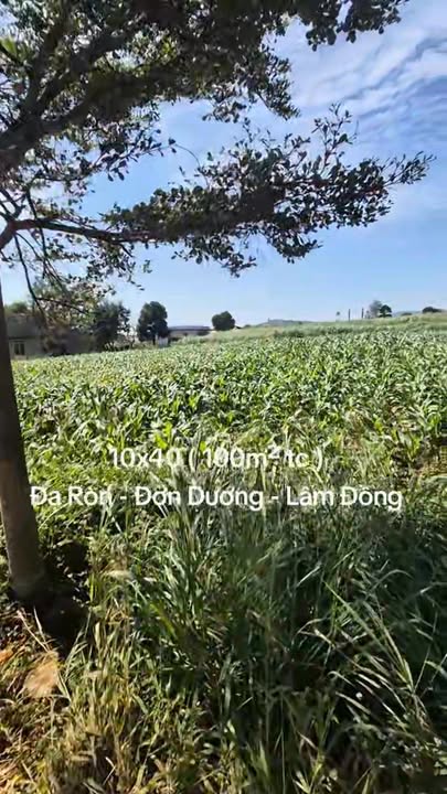 Đất thổ cư tại Xã Đạ Ròn, Đơn Dương, Lâm Đồng 100m² giá chỉ 1.17 tỷ - Đầu tư sinh lời!