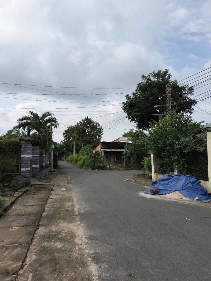 Đất nền Phước Thuận, Xuyên Mộc, 736m² giá 4 tỷ - Vị trí tiềm năng cho đầu tư!