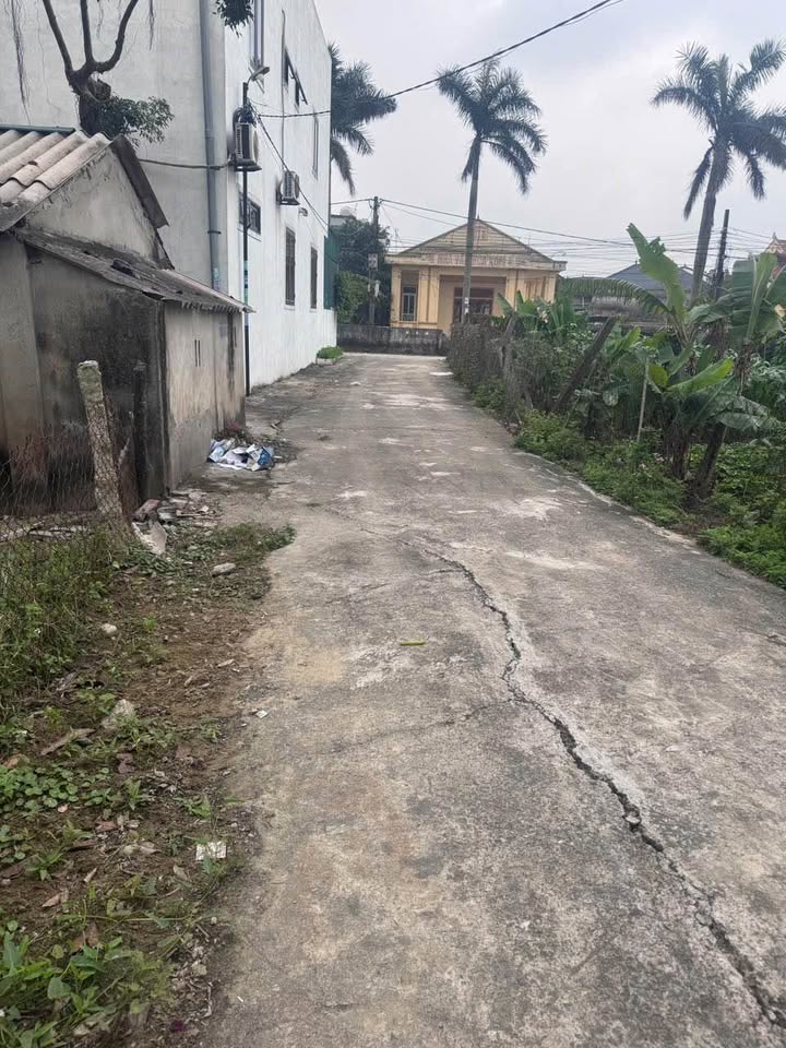 Bán đất xóm 34 Nghi Kim, 112.8m², giá 2.65 tỷ - Vị trí đẹp, gần chợ mới!