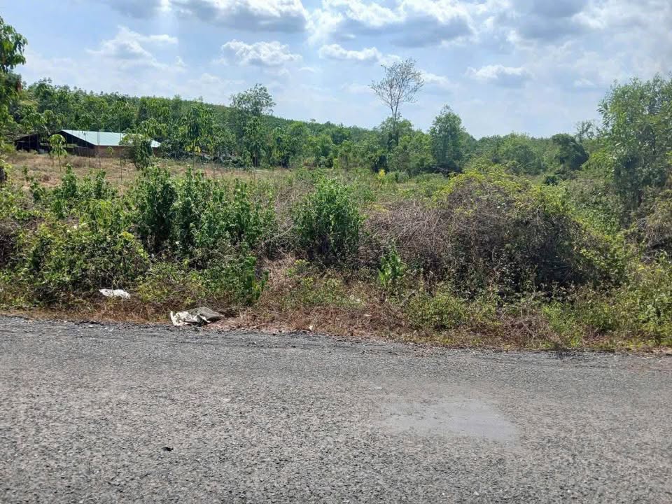 Đất nền 840m² tại xã Đồng Tâm, huyện Đồng Phú - Giá chỉ 700 triệu VND!