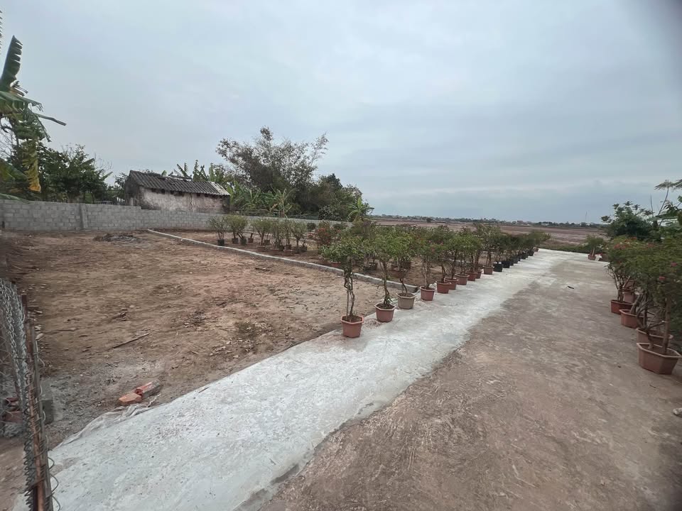 Đất nền Xã Thống Nhất Huyện Kiến Xương 80m² giá thỏa thuận - Đường ô tô vào tận nơi!