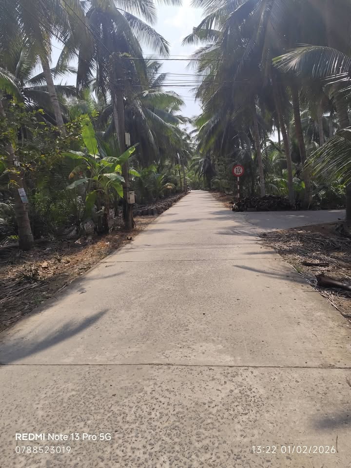 Đất nền Tân Thành Bình, Mỏ Cày Bắc 1000m² giá 1.2 tỷ - Đầu tư sinh lời hấp dẫn!