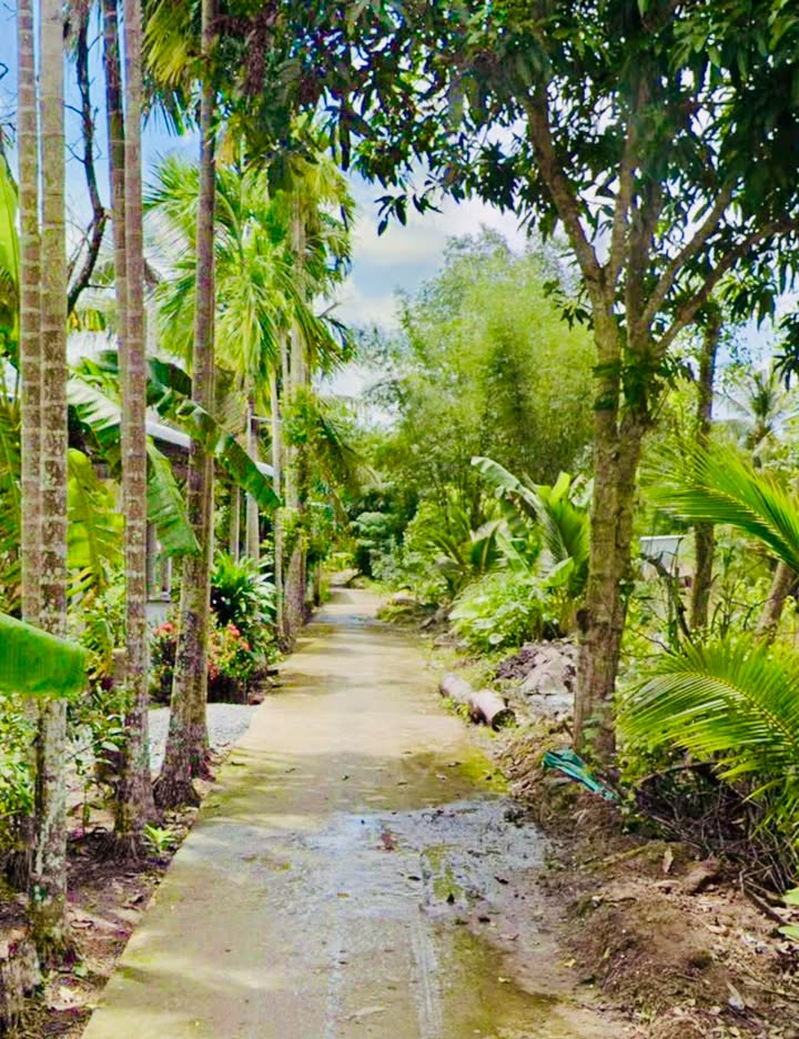 Đất nền Làng Đá Nổi, Nhơn Ái, 1200m² giá 1.999 tỷ - Cơ hội đầu tư tuyệt vời!