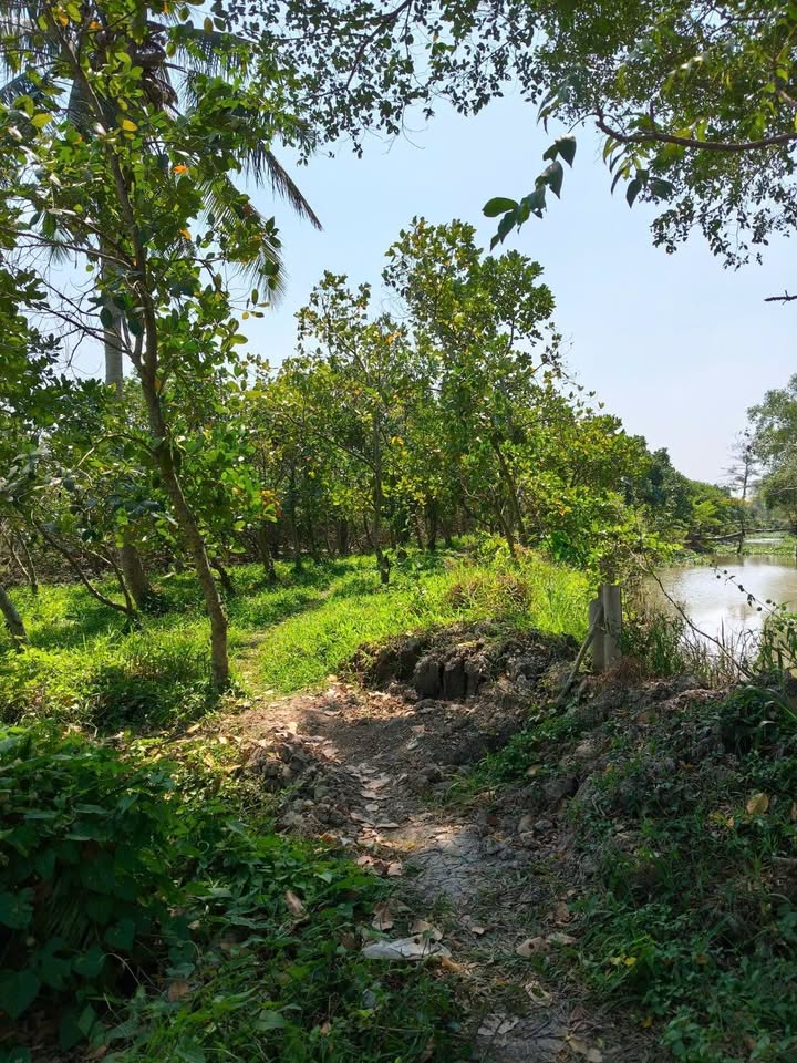 Đất thổ cư 100m² tại Thạnh Xuân, Cần Thơ - Giá chỉ 6xx triệu!