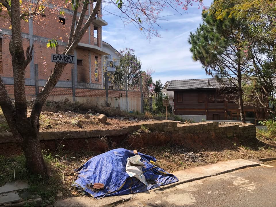 Đất nền phường 11, Đà Lạt 203m² giá 24 tỷ - Cơ hội vàng đầu tư!