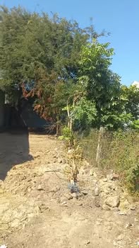 Đất nền Xã Long Điền 82m² giá chỉ 800 triệu - Đầu tư sinh lời ngay!