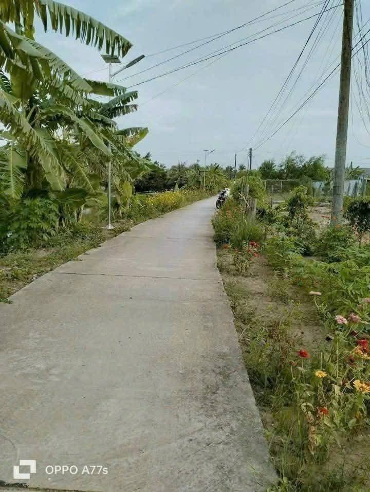 Nhà vườn Trà Khứa 1, Bạc Liêu, 1513m² - Giá chỉ 700 triệu, thương lượng chính chủ!