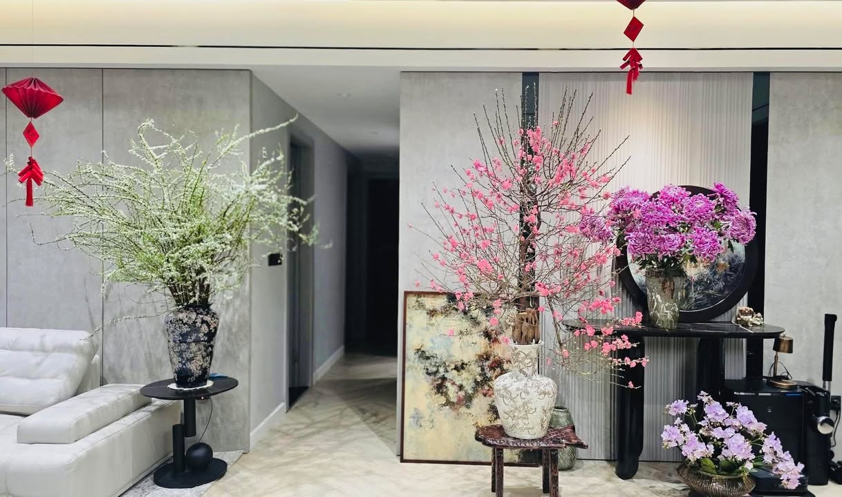 FrontHouse tại Khu đô thị Đông Nam Cường, Hải Dương 120m² giá 7 tỷ - Tiềm năng kinh doanh lớn!