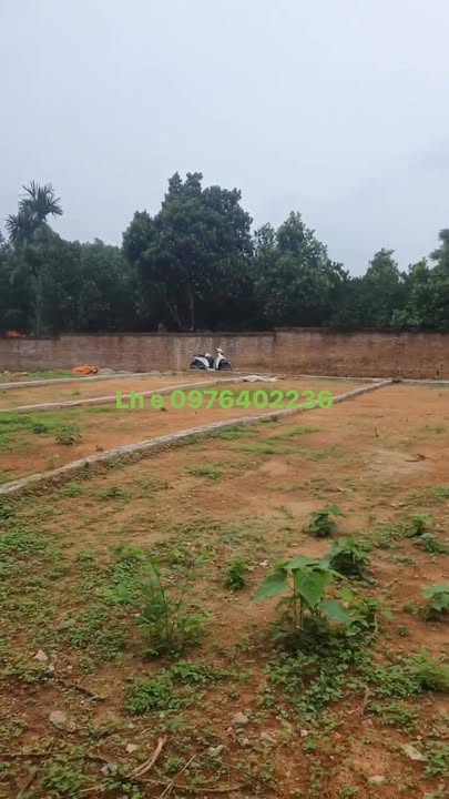 Đất thổ cư 84m² tại Cần Kiệm - Hà Nội giá 2.4 tỷ - Mặt tiền 4m nở hậu!