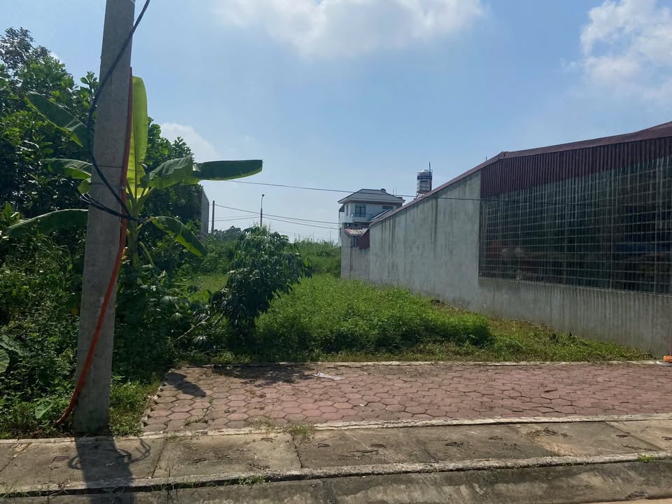 Đất nền TĐC Trung Thành, Phổ Yên, 200m² giá chỉ 4 tỷ - Đầu tư sinh lời ngay!