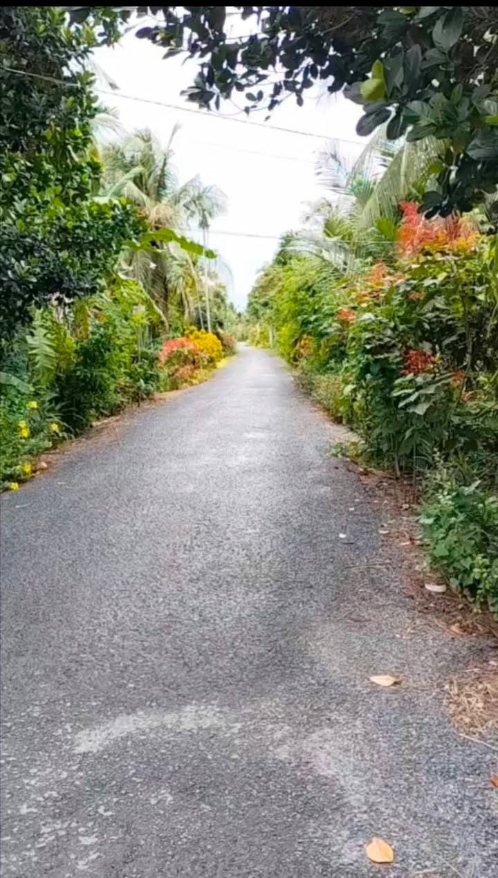 Nhà ở xã Bình Phú, huyện Càng Long, 197m² - Giá chỉ 900 triệu VND, bán gấp!