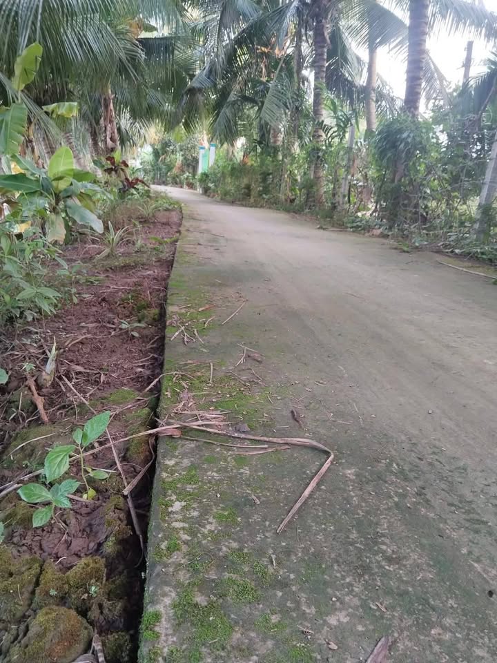 Đất nền 21.000m² xã Nhị Long, Càng Long - Giá 7.98 tỷ, thương lượng tốt!