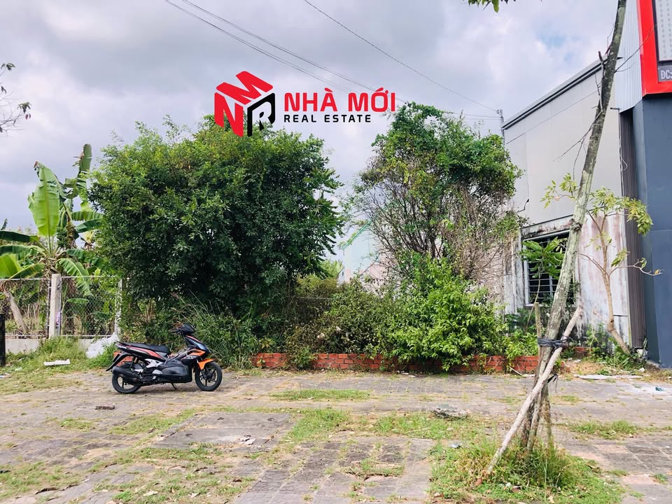 Đất nền mặt tiền Trần Hưng Đạo, Cà Mau 628m² - Vị trí đắc địa, phù hợp kinh doanh!