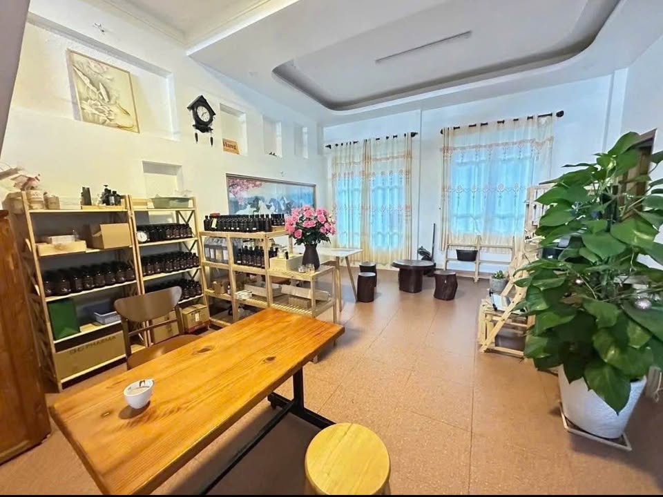 Nhà 2 Mặt Tiền Đường Mạc Đỉnh Chi, Đà Lạt 140m² giá 10.5 tỷ - Đầu tư sinh lời!