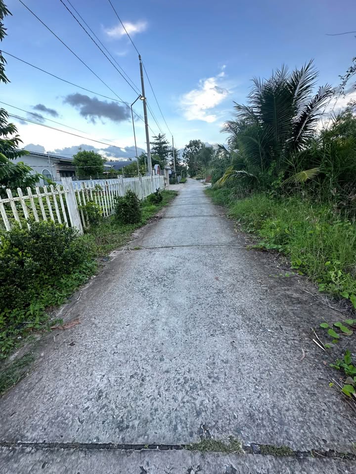 Đất nông nghiệp 4 công tại Phường An Hòa, Sa Đéc - View sông thoáng mát