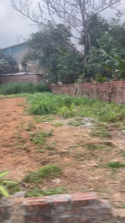 Đất nông nghiệp Xã Xuân Lộc - 400m² giá chỉ 1 tỷ - Tiềm năng phát triển lớn!