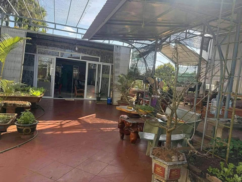 Đất thổ cư xã Ea Hồ, huyện Krông Năng 660m² - Giá chỉ 1.3 tỷ!