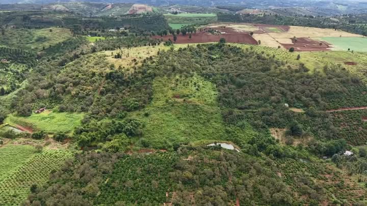 Farm Đắk Ha - Đắk Nông 11ha giá chỉ 11.5 tỷ - Đầu tư lý tưởng cho trang trại