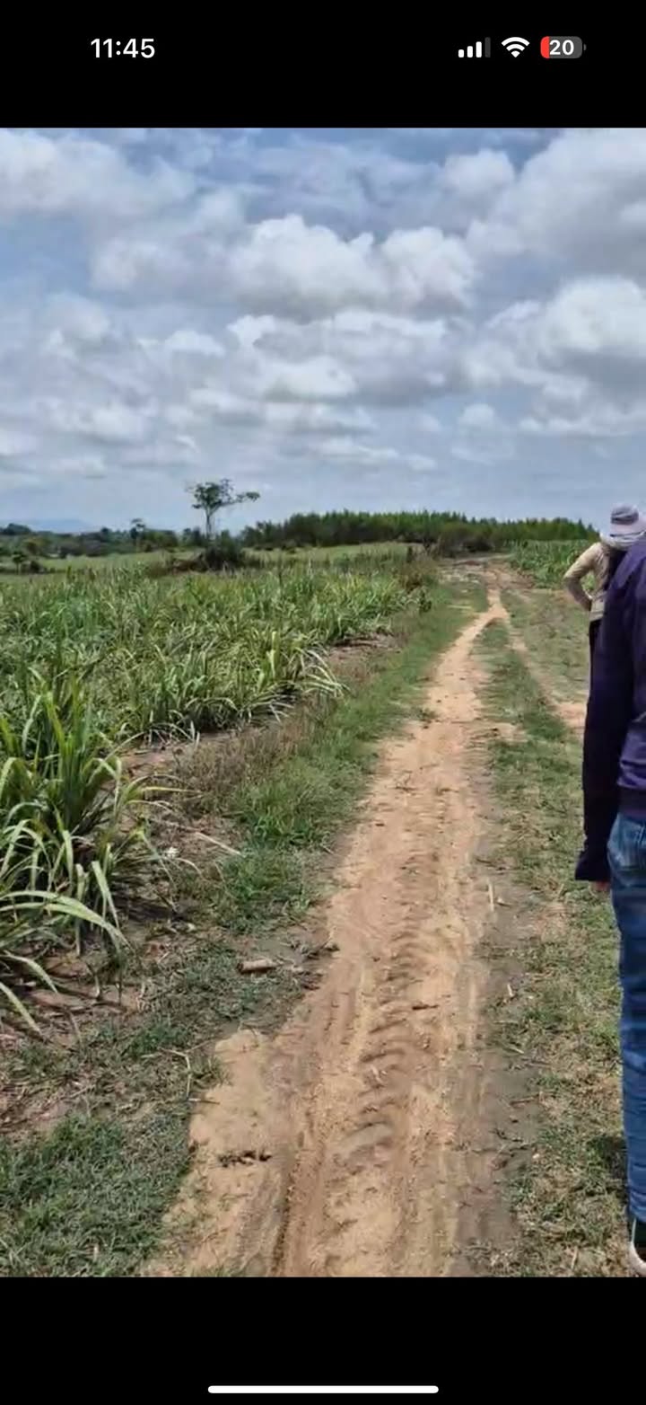 Đất thổ cư 1ha tại Thôn 6, Xã Ea Sô - Giá chỉ 990 triệu!