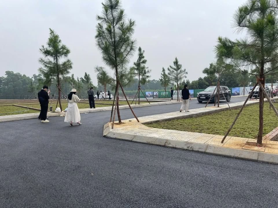 Đất Hòa Lạc 100m² giá 2.8 tỷ - Lô góc, view hồ tuyệt đẹp!