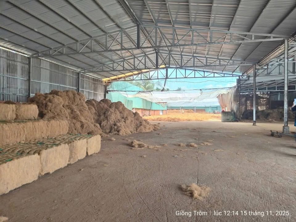 Nhà xưởng mặt tiền sông Hàm Luông - Xã Phước Long, Bến Tre - Diện tích 8000m² chỉ 15 tỷ!