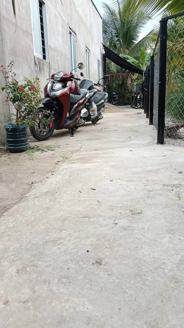 Đất vườn dừa 4800m² Châu Hòa Giồng Trôm giá 399 triệu - Đầu tư sinh lời ngay!