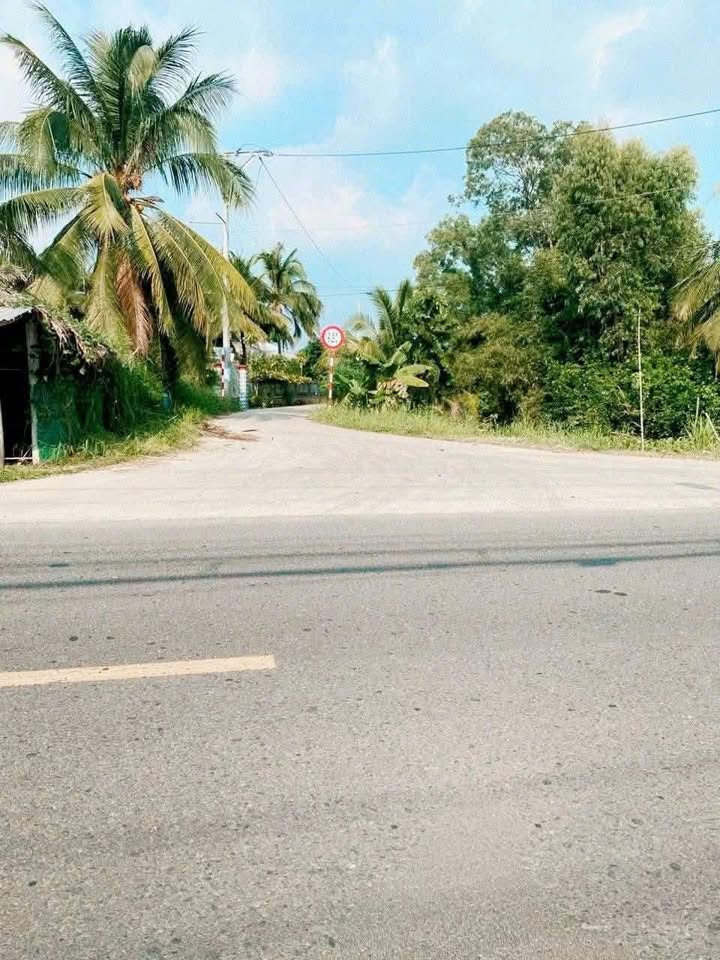 Đất ruộng mặt tiền đường Đan Lớn, Ba Tri, Bến Tre 8500m² - Giá rẻ bất ngờ!