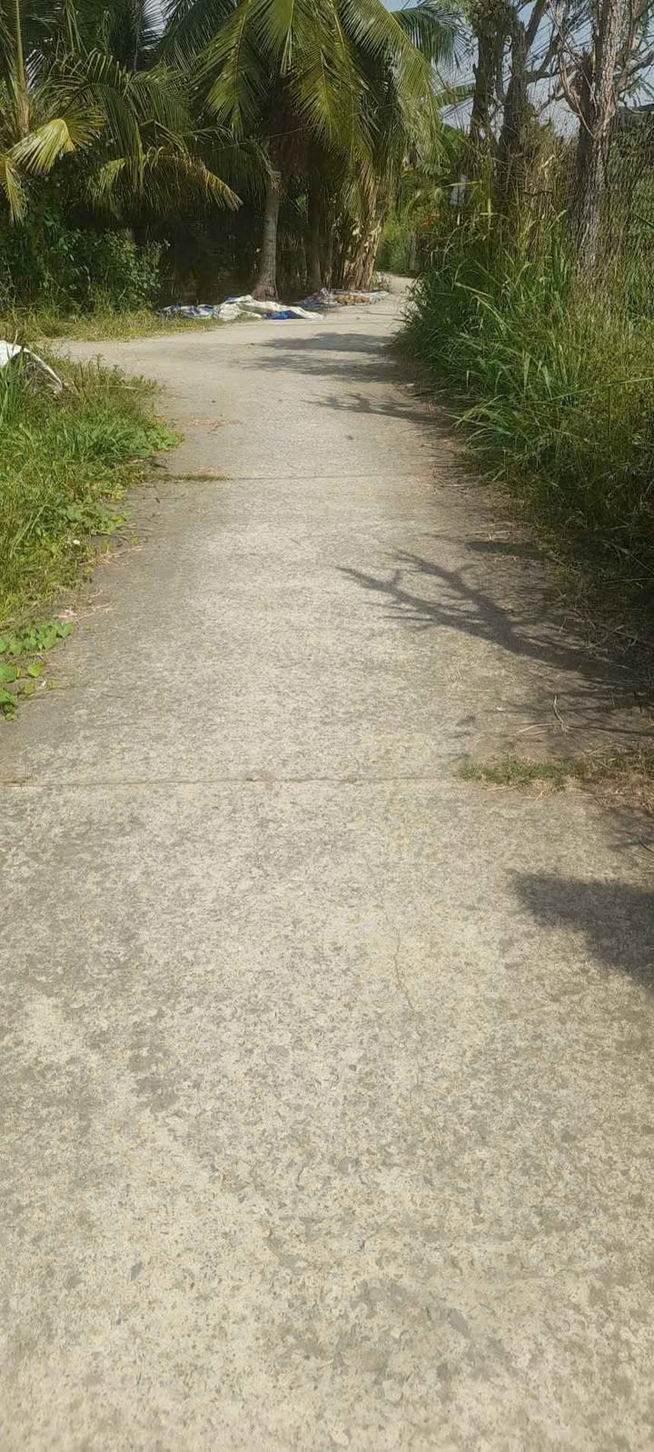 Đất nền xã Phong Nẫm, Bến Tre 345m² giá 300 triệu - Cơ hội đầu tư hiếm có!