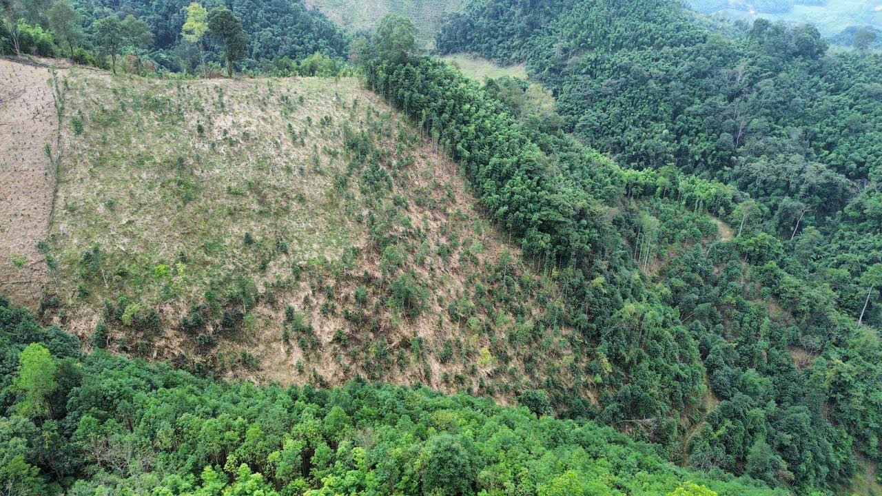 Đất rừng sản xuất 2ha tại Cư Lễ, Na Rì, Bắc Kạn giá 200 triệu - Đầu tư sinh lời ngay!