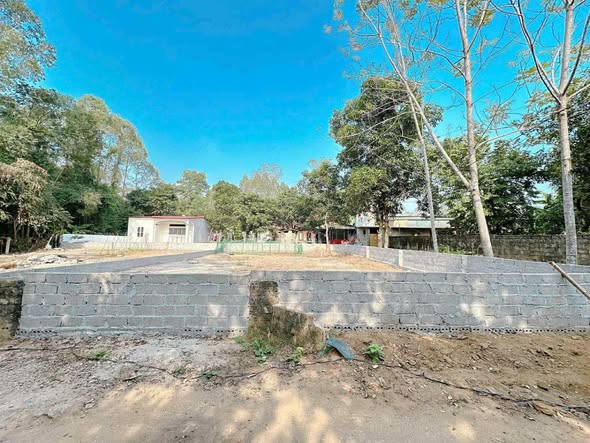 Đất nền xã Xuân Lũng, huyện Lâm Thao 209m² giá 1 tỷ - Tiềm năng đầu tư hấp dẫn!