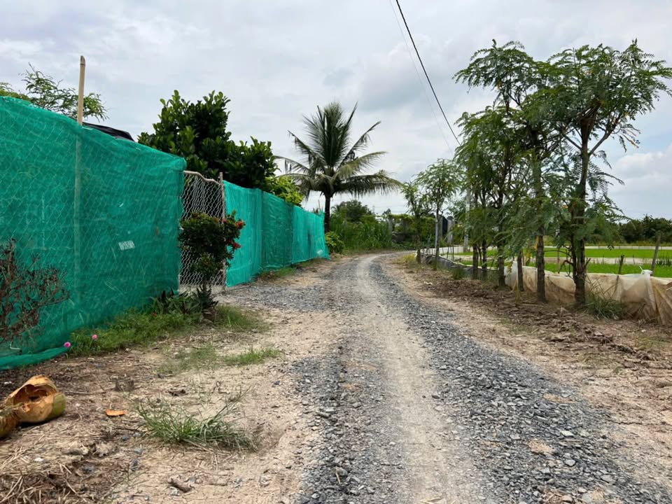 Đất nền Tân Phú Đông 565m² giá 530 triệu - Cơ hội đầu tư hấp dẫn!