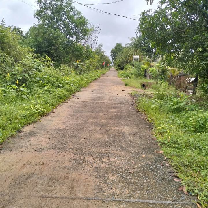 Đất thổ cư 400m² mặt tiền đường bê tông tại Krông Bông chỉ 300 triệu - Cơ hội đầu tư tuyệt vời!