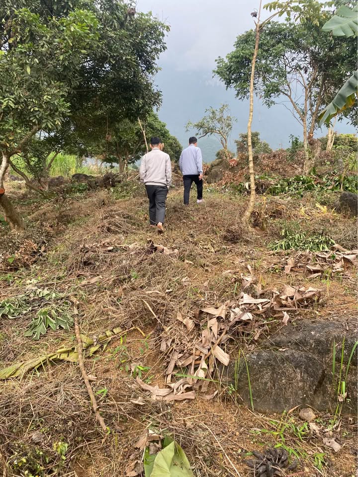 Đất nền xã Phong Quang, Vị Xuyên 600m² giá 300 triệu - Cơ hội đầu tư tuyệt vời!