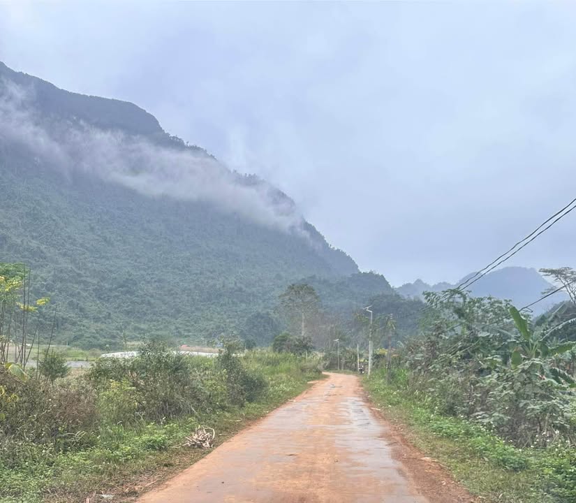 Đất nền 500m² tại phường Trần Phú - Cơ hội đầu tư không thể bỏ lỡ!