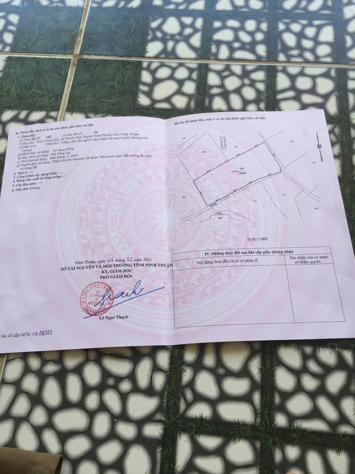 Đất lúa chính chủ tại Phước Sơn Ninh Thuận 5.855m² giá chỉ 940 triệu - Cơ hội đầu tư tuyệt vời!