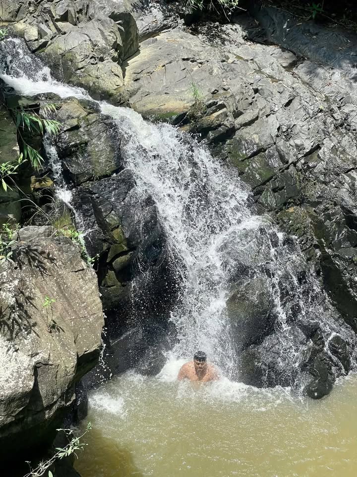 Đất Farm 16.000m² tại Xã Liên Đầm, Huyện Di Linh giá 6.5 tỷ - Cơ hội đầu tư hấp dẫn!