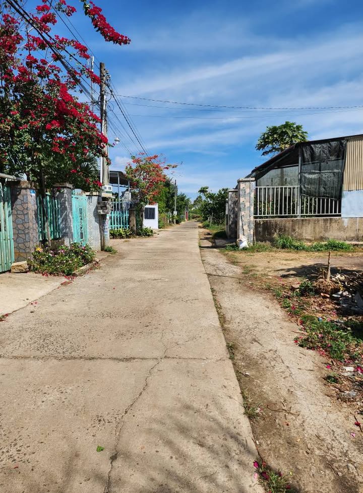 Đất thổ cư 180m² tại Lộc Ngãi - Giá chỉ 1,1 tỷ - Phù hợp trồng rau, xây nhà