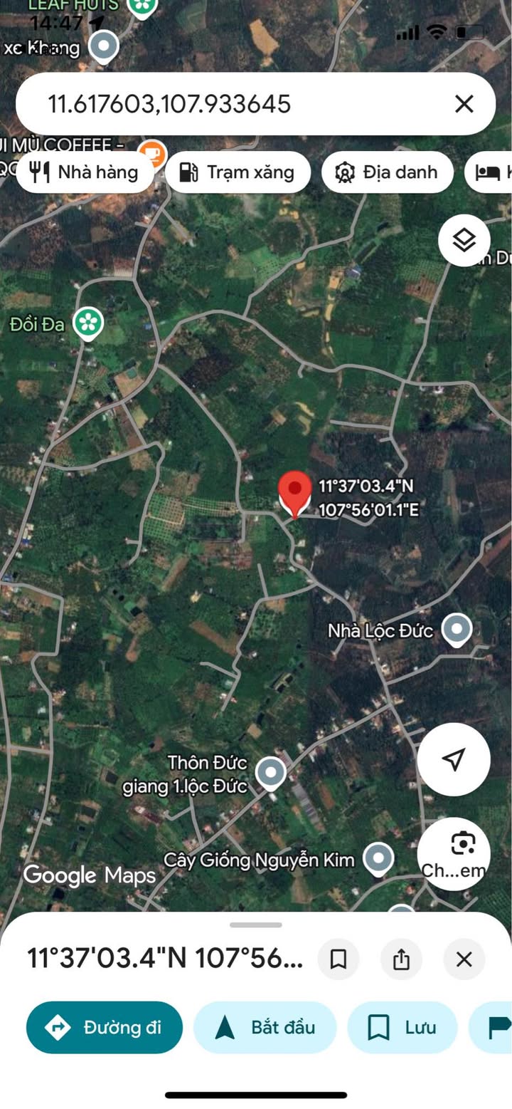 Đất nền 269m² tại xã Lộc Đức - Giá bán chỉ 500 triệu, cơ hội đầu tư hiếm có!