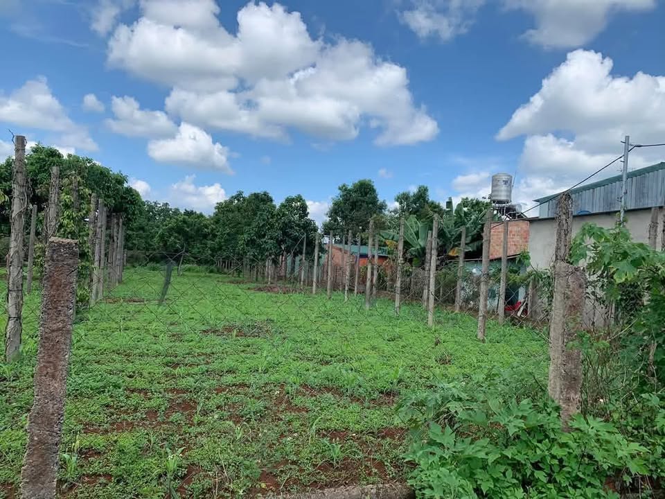 Đất nền mặt tiền Nguyễn Viết Xuân, Đăk Đoa 360m² - Pháp lý rõ ràng, giá thỏa thuận!