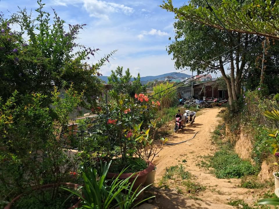 Đất nền Xuân Thọ Đà Lạt 500m² giá 1.65 tỷ - View đẹp mộng mơ!