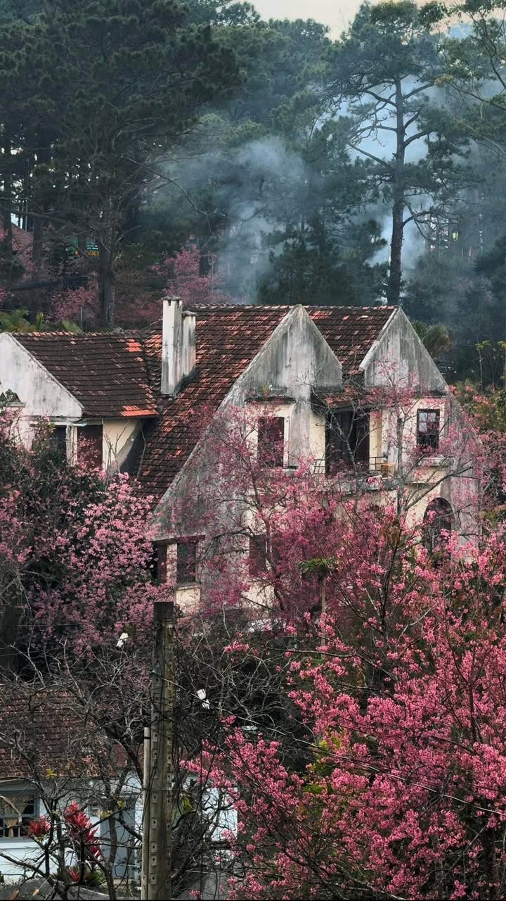 Đất nền 200m² Phường 3 Đà Lạt giá 11.5 tỷ - Sổ đỏ chính chủ, thương lượng tốt!