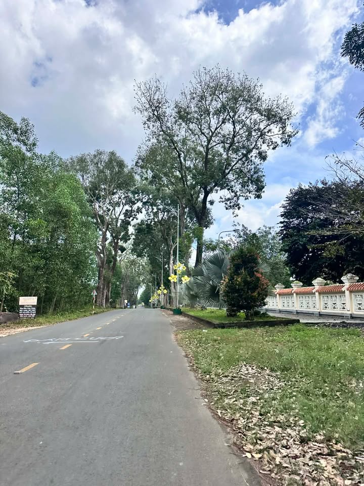 Đất nền QL1A, Quận Bình Tân, 312m² giá chỉ 800 triệu - Cơ hội đầu tư sinh lời cao!