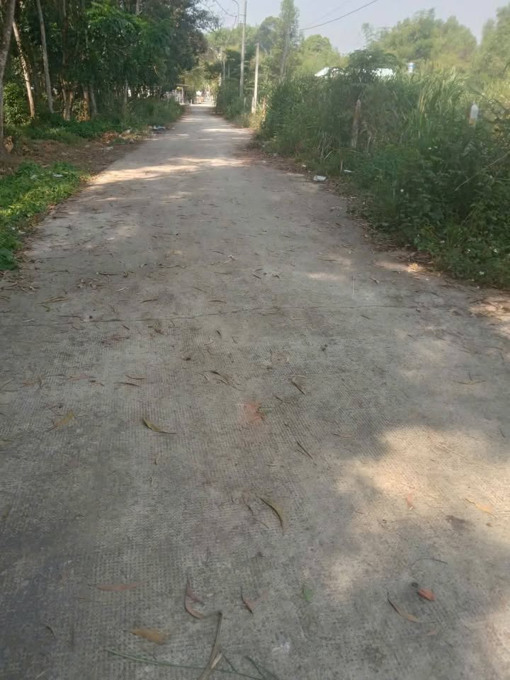 Đất nền Phú An, Bến Cát, Bình Dương 34,800m² giá 1.4 tỷ - Đầu tư sinh lời ngay!