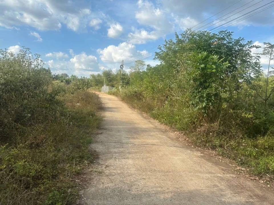 Đất nền 9000m² tại Bình Long giá 700 triệu - Cơ hội đầu tư sinh lời!