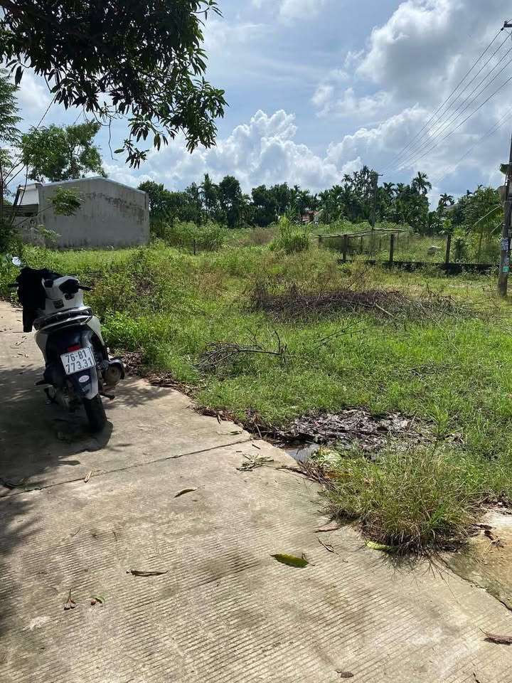 Đất nền xã Nghĩa Thuận, huyện Tư Nghĩa 281m² giá chỉ 1.3 tỷ - Đầu tư sinh lời cao!