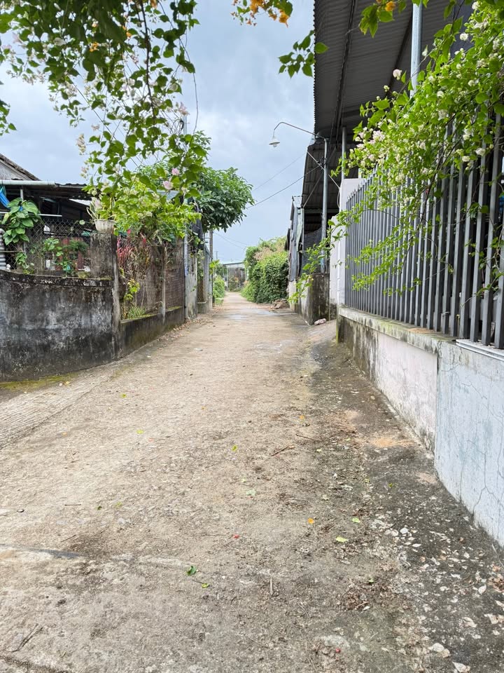 Đất nền Lộc Ngãi, An Nhơn 155m² giá 500 triệu - Đầu tư sinh lời ngay!