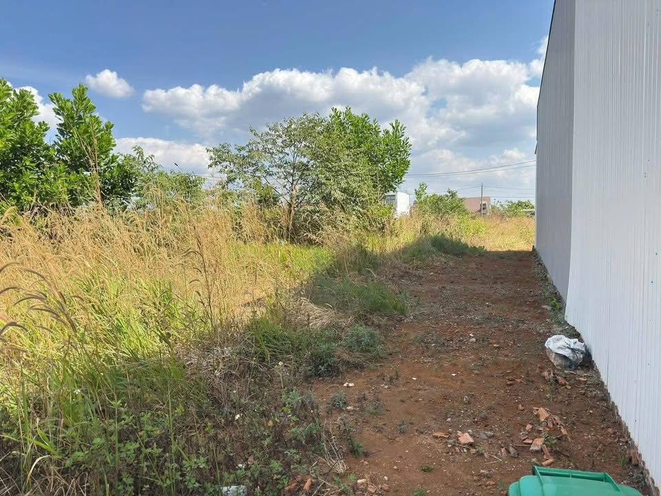 Đất nền Đắk Wer 154m² giá 840 triệu - Hướng Đông, tiềm năng phát triển!