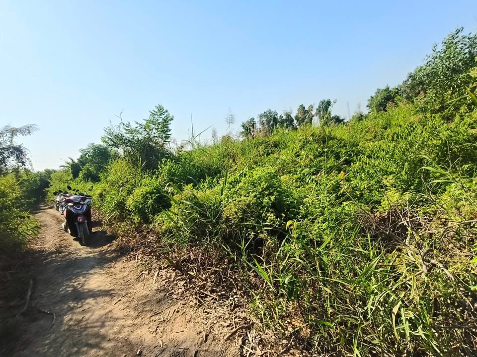 Đất nền Ấp 9 Lương Hòa Bến Lức 1000m² giá 600 triệu - Cơ hội đầu tư hấp dẫn!